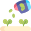 How to Fertilize