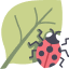 Common Pests & Diseases