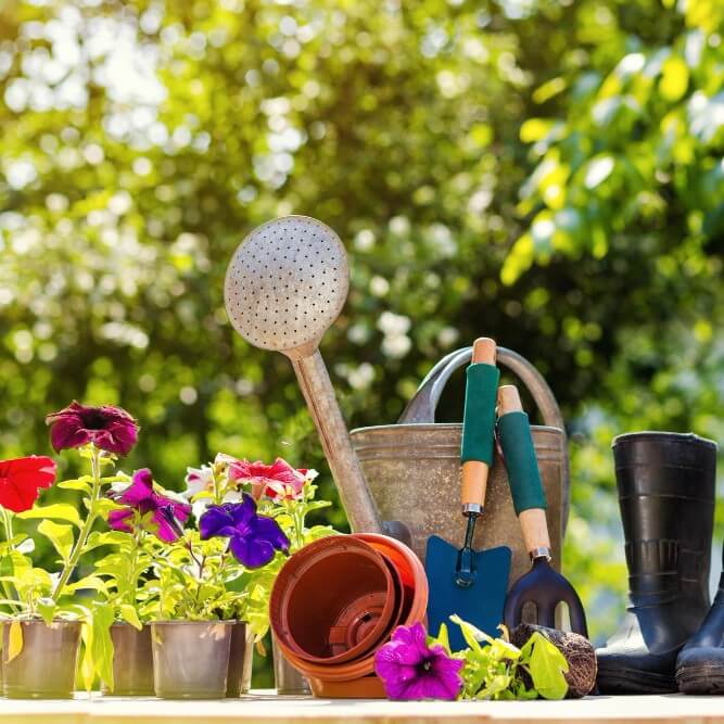 Get Your Garden Summer-Ready!