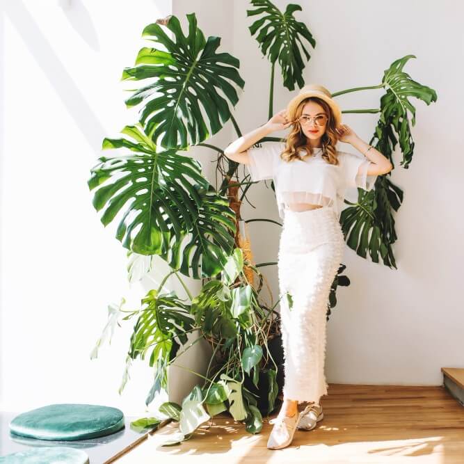 How Indoor Greenery Can Improve Your Mood