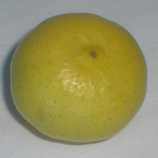 Citrus Aurantifolia