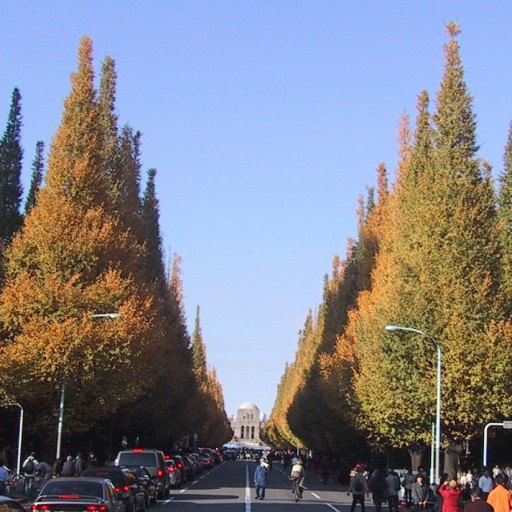 Ginkgo Biloba