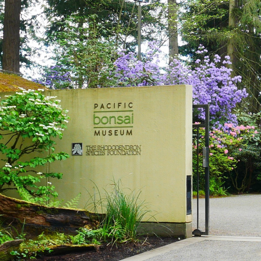 Rhododendron Spp.